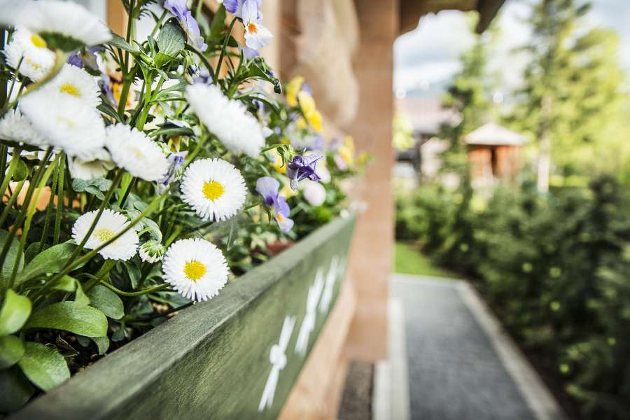 Domek Klimkówka Zakopane